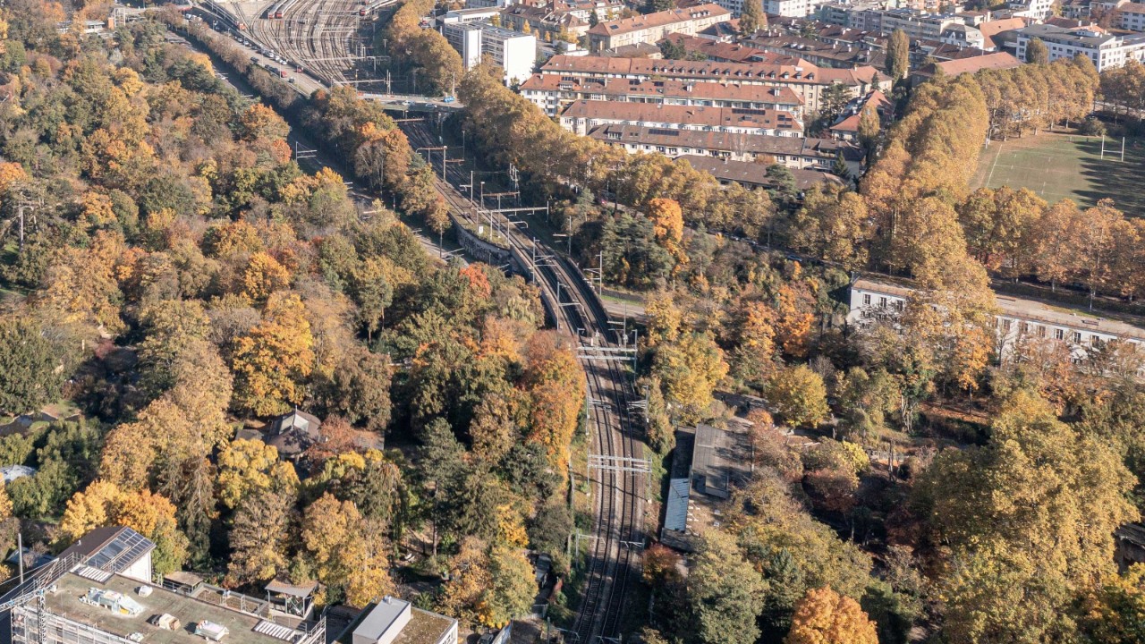 Das Bild zeigt eine Luftaufnahme der Birsigbrücken, umgeben von herbstlich gefärbten Bäumen und Gebäuden. Die Brücken überqueren die Gleise, die sich in Richtung Basel SBB erstrecken.