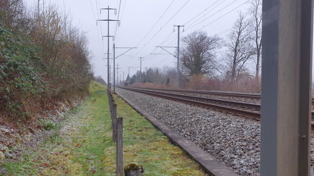 Das Foto zeigt die Bahnstrecke im Bereich des künftigen Güterüberholgleises mit den an der Strecke verlaufenden Freileitungen (Blick in Richtung Zürich).