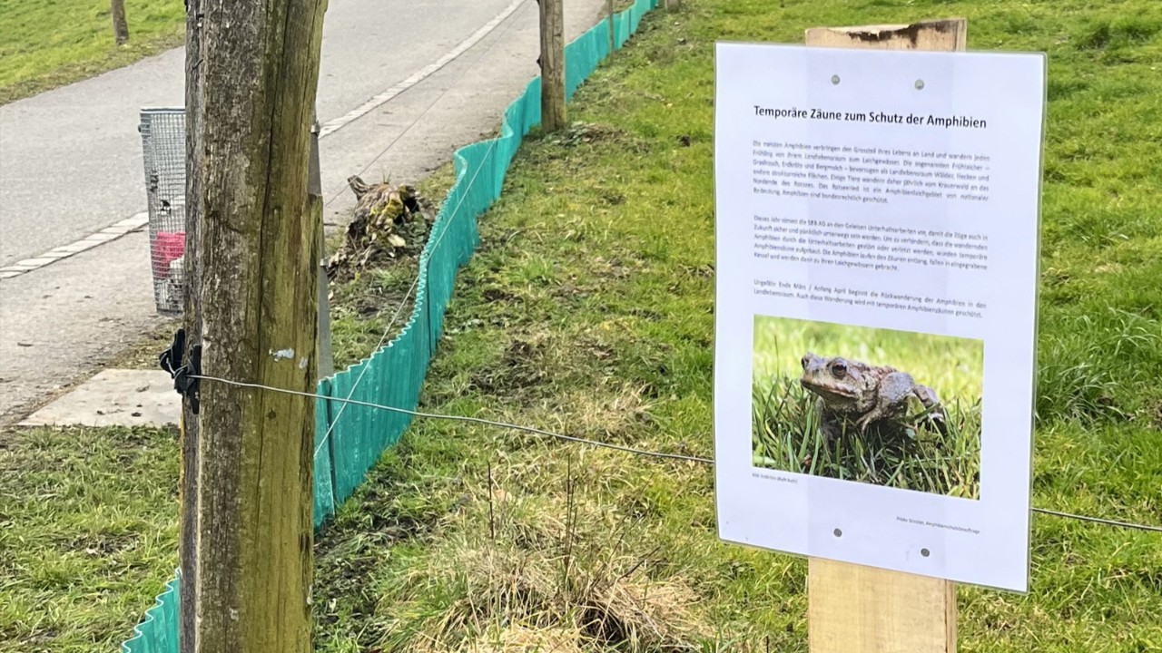 Amphibian protection fence at the engineering works perimeter