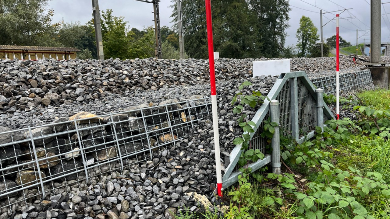Access ramp for amphibians and other small animals.