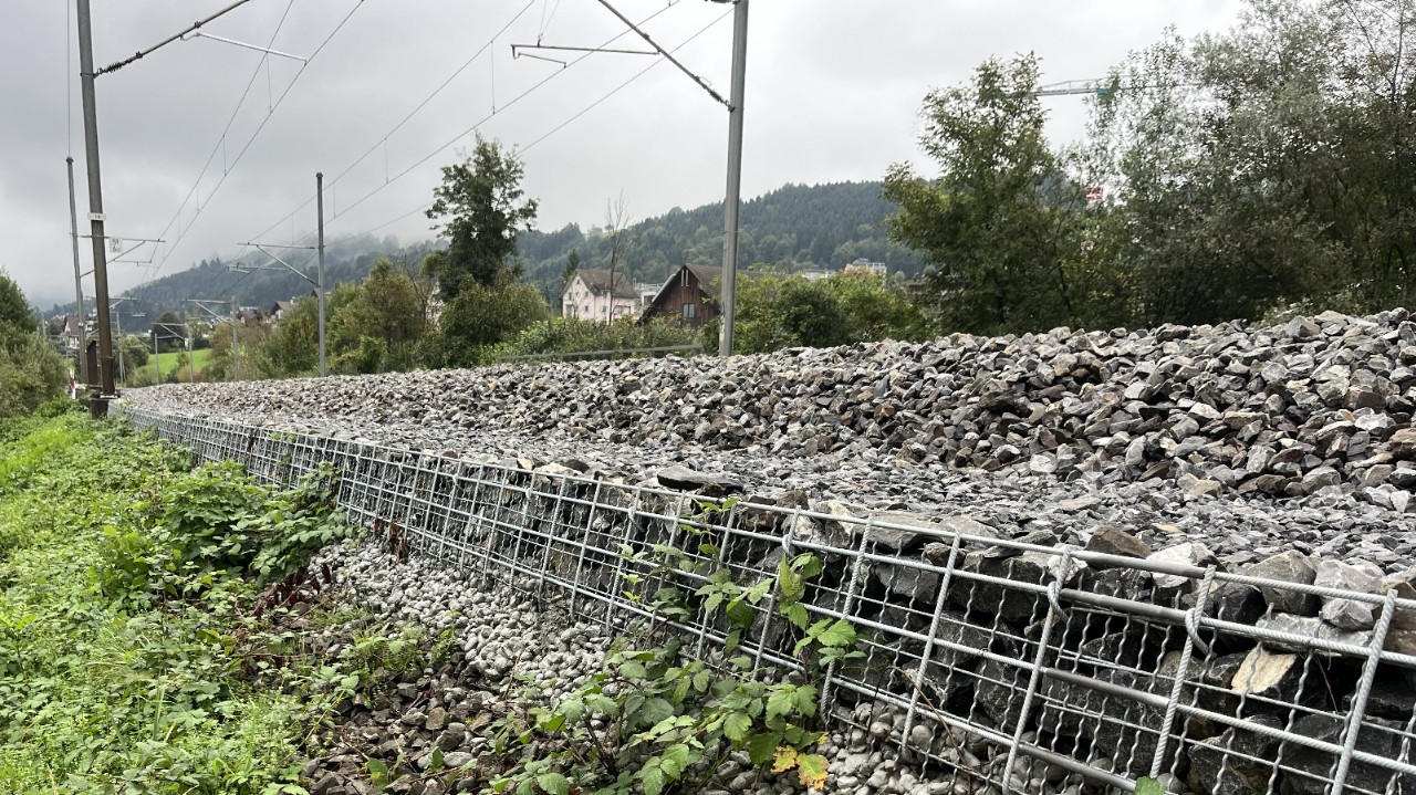 Reptile-friendly verges